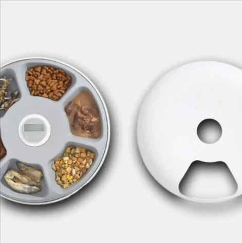 Automatic Pet Feeder for Cats & Dogs