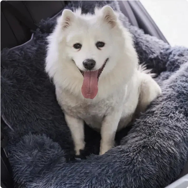 Dog Car Seat