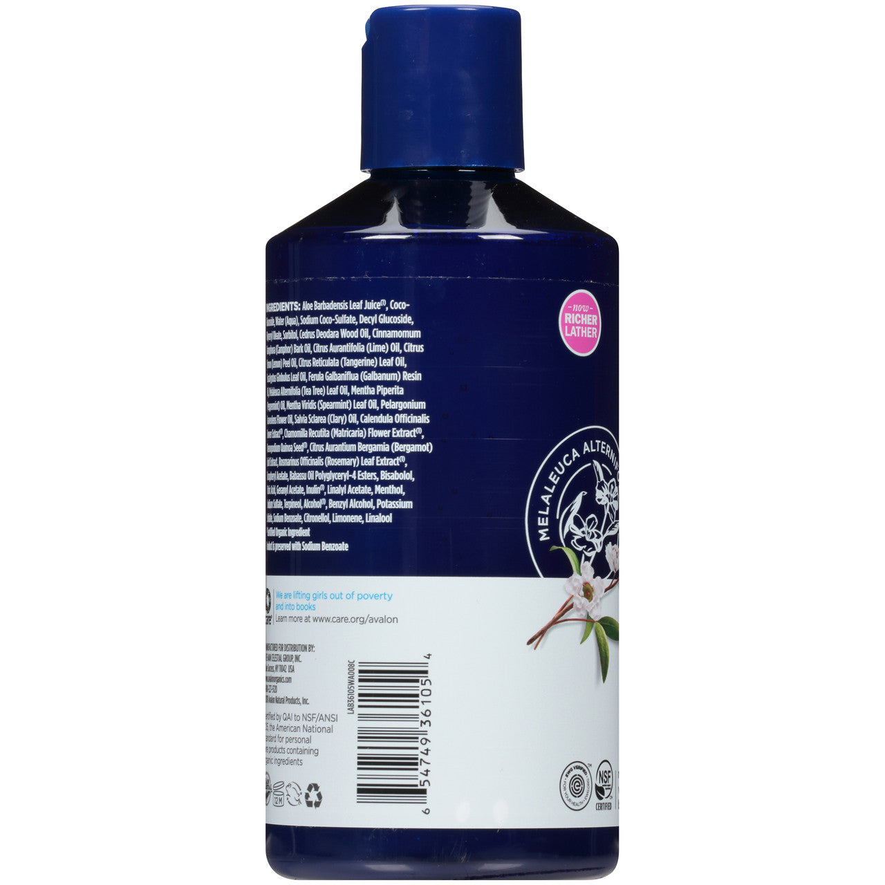 Avalon Tea Tree Treatment Shampoo (1x14 Oz)