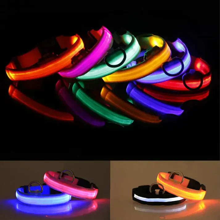 LED Adjustable Dog Collar Blinking Flashing Light Up Glow Pets Safety Waterproof