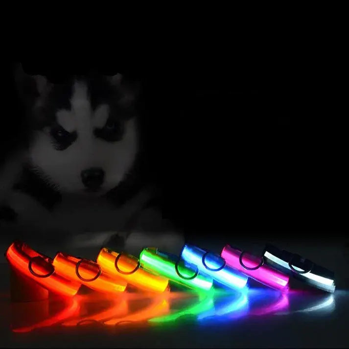 LED Adjustable Dog Collar Blinking Flashing Light Up Glow Pets Safety Waterproof