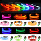 LED Adjustable Dog Collar Blinking Flashing Light Up Glow Pets Safety Waterproof
