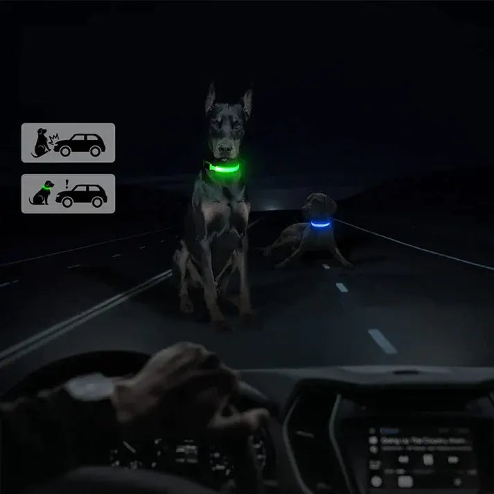 LED Adjustable Dog Collar Blinking Flashing Light Up Glow Pets Safety Waterproof