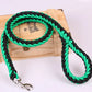 Nylon Pet Leash