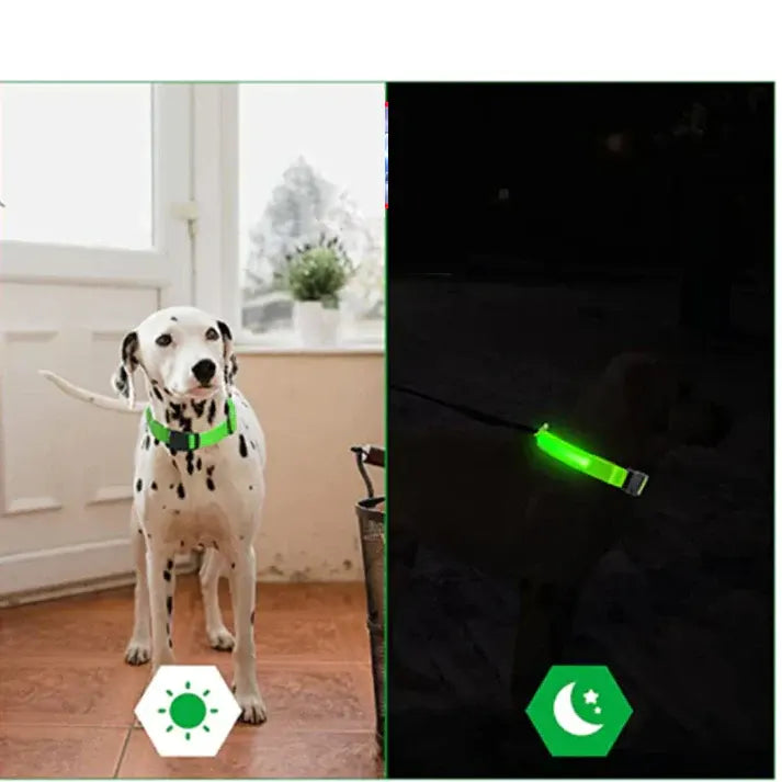 LED Adjustable Dog Collar Blinking Flashing Light Up Glow Pets Safety Waterproof