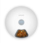 Automatic Pet Feeder for Cats & Dogs