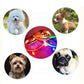 LED Adjustable Dog Collar Blinking Flashing Light Up Glow Pets Safety Waterproof